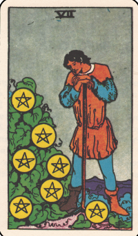 Taro septyni pentakliai