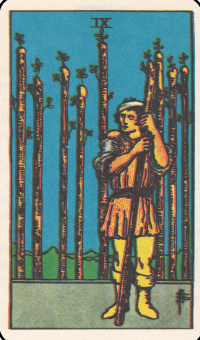 Devynios lazdos taro